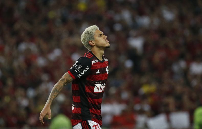 DEP-FUT BRASIL-PLANTEL