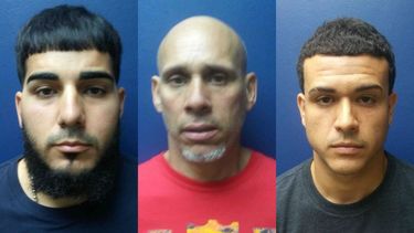 ocho arrestos en medio de allanamiento en caguas