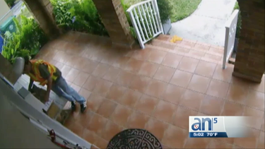 alerta: el roba paquete sigue en las calles de miami