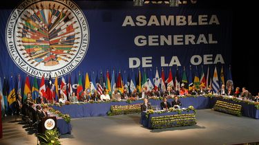 piden a la oea sancion a chaderton por comentario con alto contenido violento