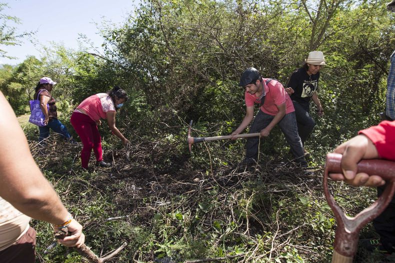 AMN-GEN MÉXICO-DESAPARECIDOS-ACTIVISTA ASESINADA
