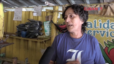 las cubanas de la isla  prefieren no hablar de politica