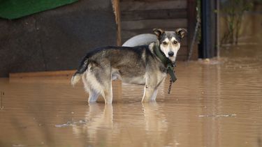 Evacuaciones y apagones en Bosnia por inundaciones súbitas