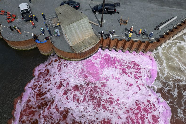 En esta fotografía proporcionada por el proyecto Ocean Alk-Align, colorante rosado es arrojado en la Ensenada Tufts a lo largo del puerto de Halifax el jueves 10 de agosto de 2023, en Nueva Escocia, Canadá, parte de un proyecto de la empresa Planetary Technologies para probar si el añadir minerales alcalinos al océano puede ayudar a reducir la velocidad del cambio climático. (Proyecto Ocean Alk-Align vía AP)