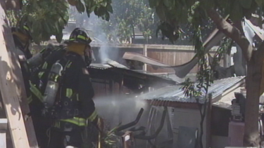 Incendio devoró un extraño criadero de pollos y palomas