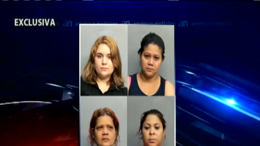 cae red de prostitucion en hialeah