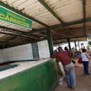 "¿Desde cuándo no come carne de res?" (VIDEO)