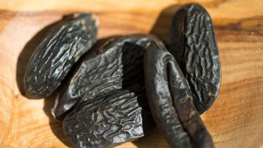 el peligro que esconde el ingrediente mas delicioso conocido: las toxicas semillas de los frijoles tonka
