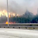 Se reporta enorme incendio forestal en el suroeste de Miami-Dade obligando a cerrar la Calle Ocho