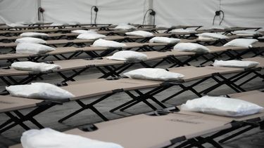 ARCHIVO - Bolsas con ropa de cama colocadas sobre catres en una carpa durante una visita a un albergue de la Ciudad de Nueva York para alojar a hasta 1.000 migrantes en el barrio de Queens, en Nueva York, el 15 de agosto de 2023. (AP Foto/Mary Altaffer, Archivo)