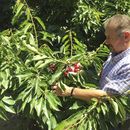 Una guerra comercial también podría tener costos para EEUU