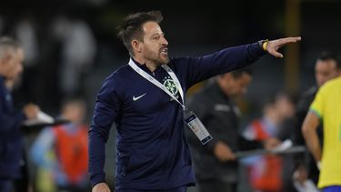 Ramon Menezes será el técnico interino de Brasil