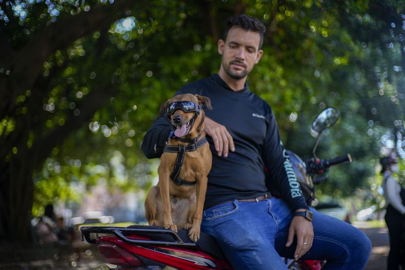 El perro rescatado Koffee se sienta en una motocicleta junto a su nuevo dueño, Leandro Valdés, durante una entrevista en La Habana, Cuba, el viernes 4 de octubre de 2024. (AP Foto/Ramón Espinosa)