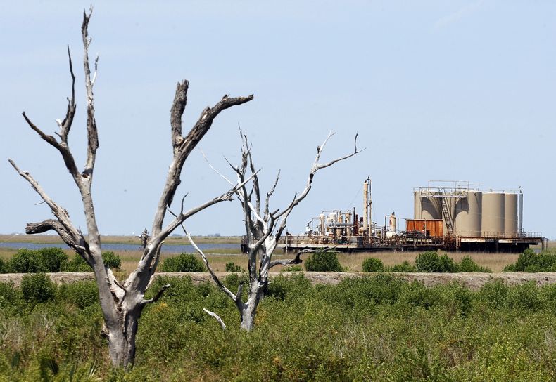 Fotograf&iacute;a de archivo del 10 de mayo de  2010 muestra una instalaci&oacute;n petrol&iacute;fera al fondo, con &aacute;rboles muertos al frente, en Isle de Jean Charles, Luisiana. Ell calentamiento global est&aacute; convirtiendo r&aacute;pidamente