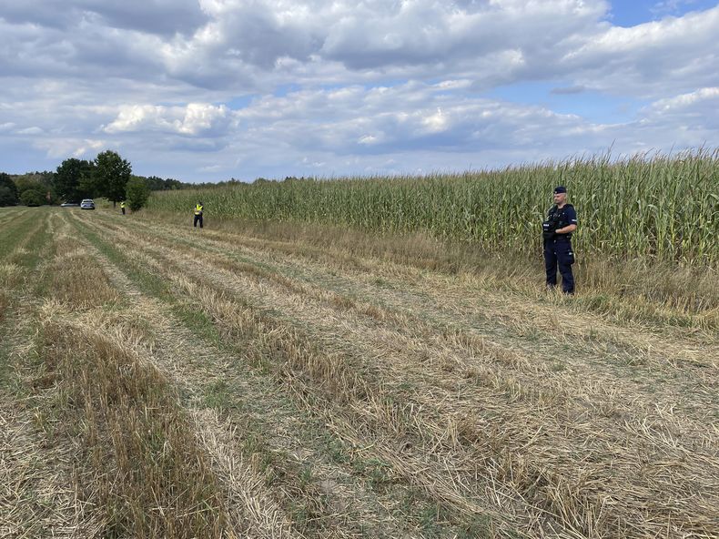 La policía asegura el área de un campo de maíz donde un objeto volador no identificado se estrelló y explotó en Osiny, en el este de Polonia, el miércoles 20 de agosto de 2025. (AP Foto)
