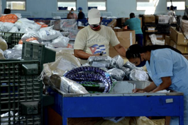 Autoridades cubanas admiten que tiene más de 160 mil paquetes sin entregar