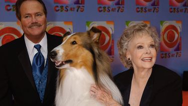 June Lockhart, a la derecha, quien interpretó el personaje de Ruth Martin, la madre de Timmy Martin, interpretado por Jon Provost, a la izquierda, durante la serie clásica Lassie posa para una fotografía con la novena generación de Lassie, el domingo 2 de noviembre de 2003, en Nueva York. (AP Foto/Louis Lanzano, Archivo)