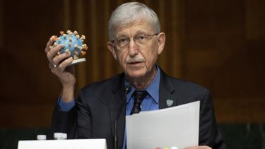 ARCHIVO- El doctor Francis Collins, director de los Institutos Nacionales de Salud (NIH), sostiene un modelo de COVID-19, conocido como coronavirus, durante una audiencia del subcomité de Asignaciones Presupuestarias del Senado sobre el plan para investigar, fabricar y distribuir una vacuna contra el coronavirus, conocida como Operación Warp Speed, el jueves 2 de julio de 2020, en el Capitolio en Washington. (Saul Loeb/Pool foto via AP, archivo)