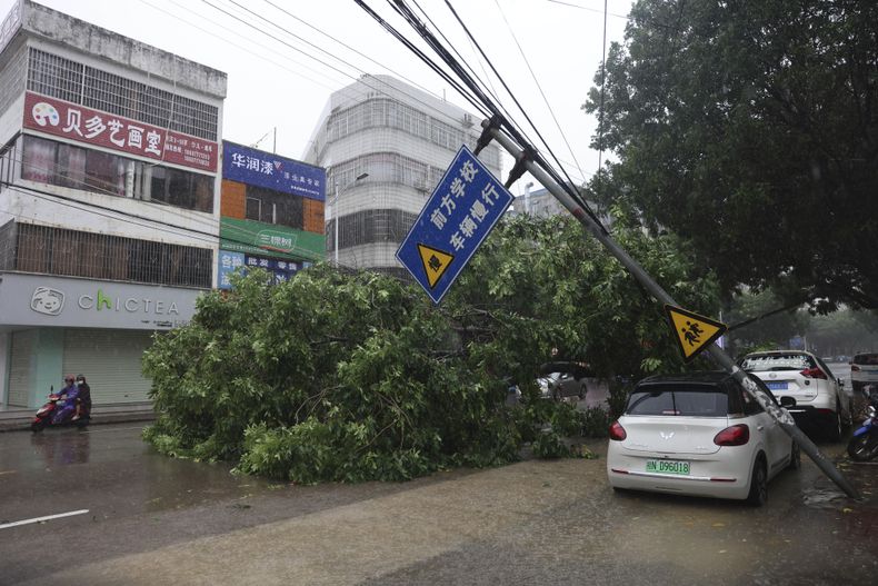 En esta foto de la agencia noticiosa Xinhua, un árbol caído cierra una calle durante el paso del tifón Talim en Qinzhou, Región Autónoma Guangxi Zhuang del sur de China, martes 18 de julio de 2023. (Hu Xingyu/Xinhua via AP)