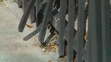 protestan propietarios de condominio en hialeah