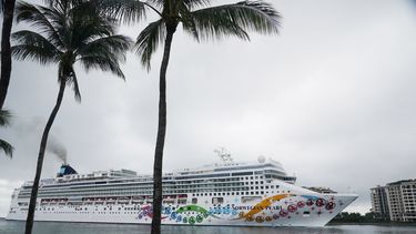 crucero vuelve a miami tras 2 dias en mar por casos de covid