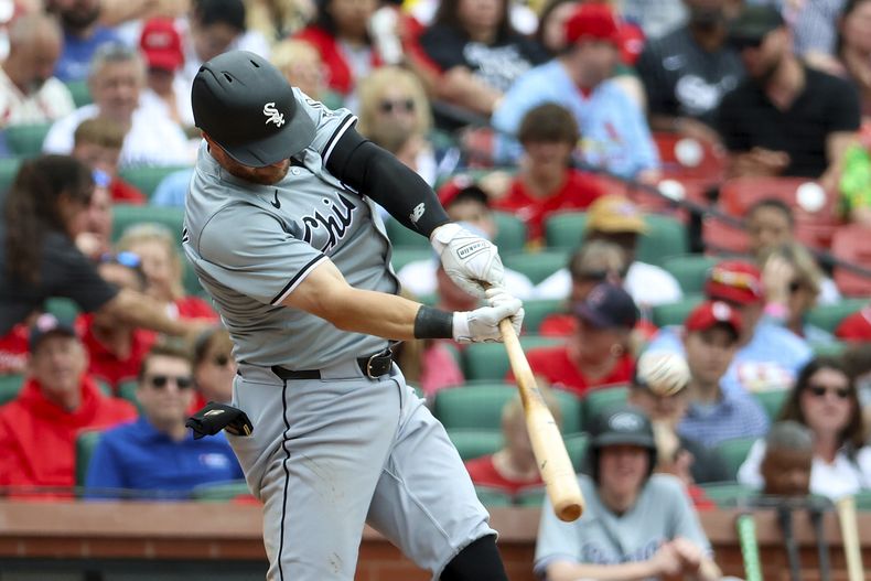 Robbie Grossman de los Medias Blancas de Chicago pega un elevado de sacrificio en la séptima entradas ante los Cardenales de San Luis el domingo 5 de mayo del 2024. (AP Foto/Scott Kane)