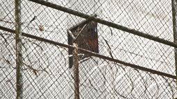 tintori: "el unico traslado para leopoldo debe ser para la calle con su pueblo"