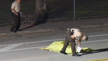tiroteo en el suroeste de miami deja un hombre muerto