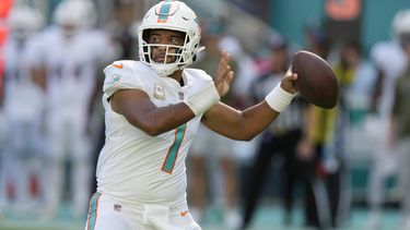 Miami Dolphin. Últimas noticias de Miami Dolphin