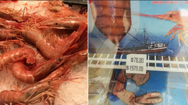 regimen cubano exportara camarones a china en 2020