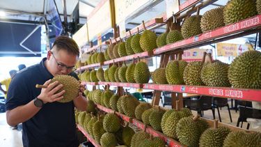 Un hombre huele un durián en un puesto de venta de esta fruta en Petaling Jaya, a las afueras de Kuala Lumpur, Malasia, el lunes 22 de junio de 2026. (Foto AP/Vincent Thian)
