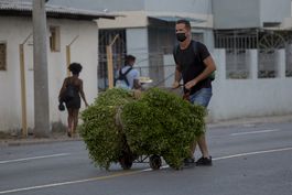 santeros cubanos preven enfermedades y complots en 2022
