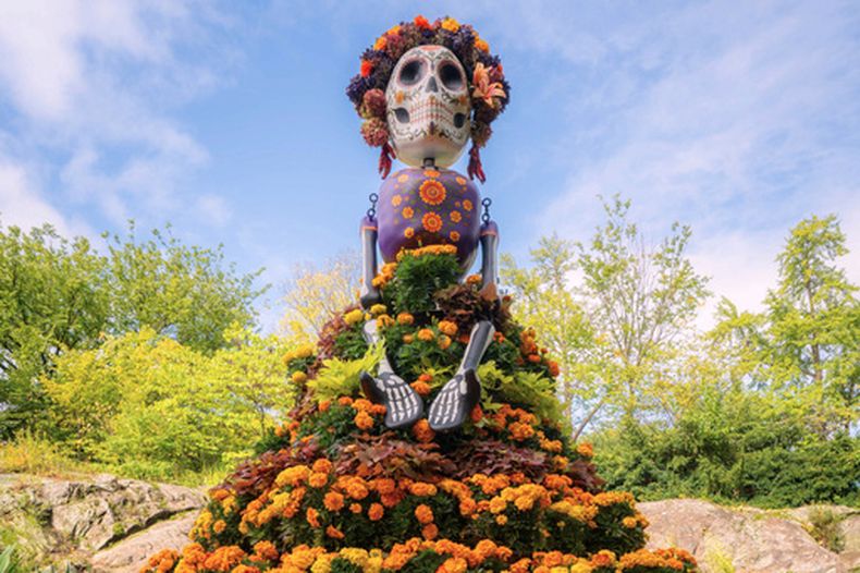 Esta imagen proporcionada por el Jardín Botánico de Nueva York muestra una escultura tradicional de La Catrina adornada con flores de cempasúchil, exhibida durante la celebración del Día de los Muertos en el distrito del Bronx de Nueva York, el 29 de septiembre de 2026. (Jardín Botánico de Nueva York vía AP)