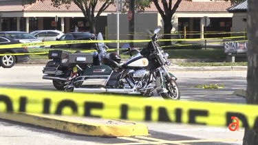 americateve | Policia MIami.png
