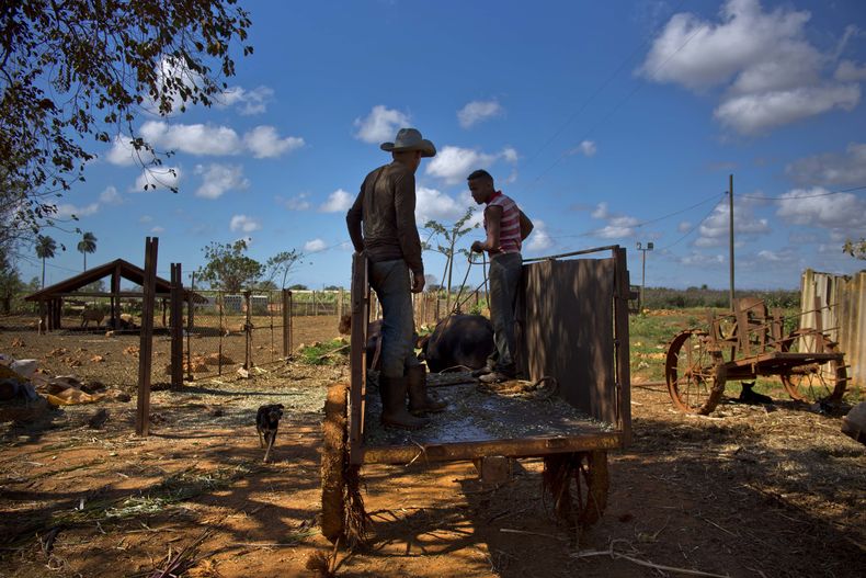 CAR-GEN_CUBA-EEUU-AGRICULTURA-1.jpg