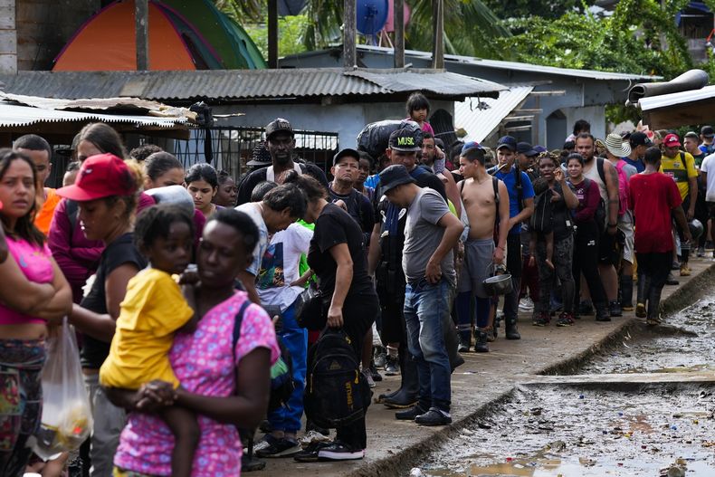 Migrantes hacen fila para identificarse ante funcionarios de la autoridad migratoria panameña a su llegada a Bajo Chiquito, en la provincia de Darién, Panamá, el jueves 5 de octubre de 2023, tras atravesar la jungla del Tapón del Darién desde Colombia. (AP Foto/Arnulfo Franco)