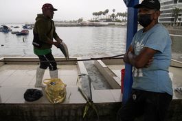 angustia domina a pescadores tras derrame petrolero en peru