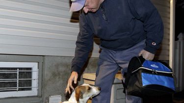 americateve | En esta fotograf&iacute;a del 28 de octubre de 2011, Daniel, a la izquierda, mejor conocido como el "Perro Milagroso", juega con Mark Pavlik en Rochelle Park, Nueva Jersey, donde estaba siendo atendido a su llegada al estado. Daniel, de raza bea