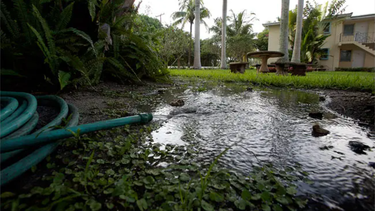 autoridades piden a los residentes de broward reducir el uso de agua
