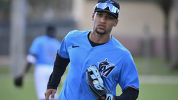 tras seis temporadas en ligas menores, victor mesa jr. es llamado a grandes ligas por los marlins de miami