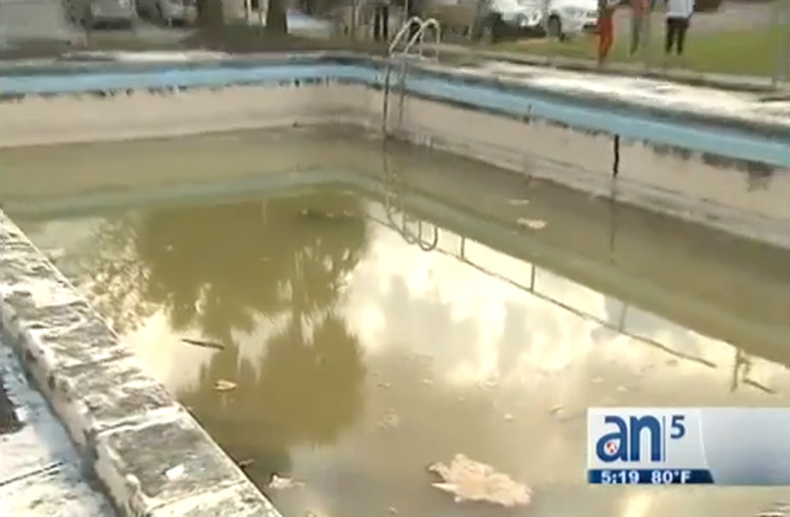 Los problemas en los condominios no cesan. Es el caso de Mango Hill # 9, en el West de Hialeah, donde hay preocupaciones por la salud de los vecinos.