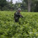 Gobierno colombiano aseguró que no serán ellos los que se levanten de la mesa de diálogo con el ELN
