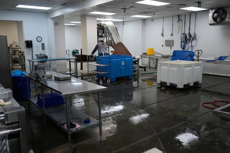 Un empleado trabaja en la planta procesadora de cangrejos de río Bocage en Crowley, Luisiana, el jueves 19 de marzo de 2026. (Foto AP/Gerald Herbert)