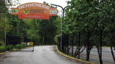 eco jardin de puerto rico: detallan el plan para convertir el zoologico de mayagüez en un parque pasivo