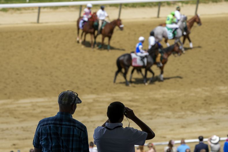 Espectadores observan a los caballos previo a una carrera en Belmont Park, el sábado 10 de junio de 2023, en Elmont, Nueva York. (AP Foto/Mary Altaffer)
