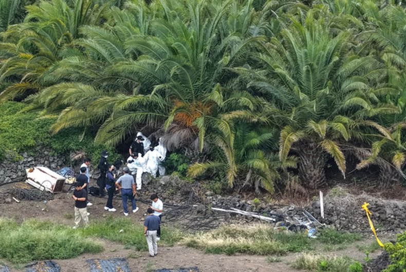 Policías examinan una plantación donde se encontró el cuerpo de Jang Mi-ran, una mujer reportada como desaparecida, en la isla de Jeju, Corea del Sur, el lunes 24 de agosto de 2026. (Park Ji-ho/Yonhap vía AP)