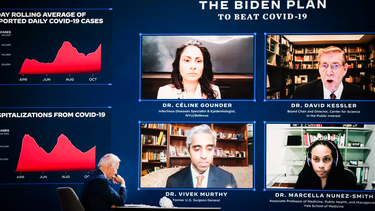 opinion | las luces fundidas del arbolito de biden