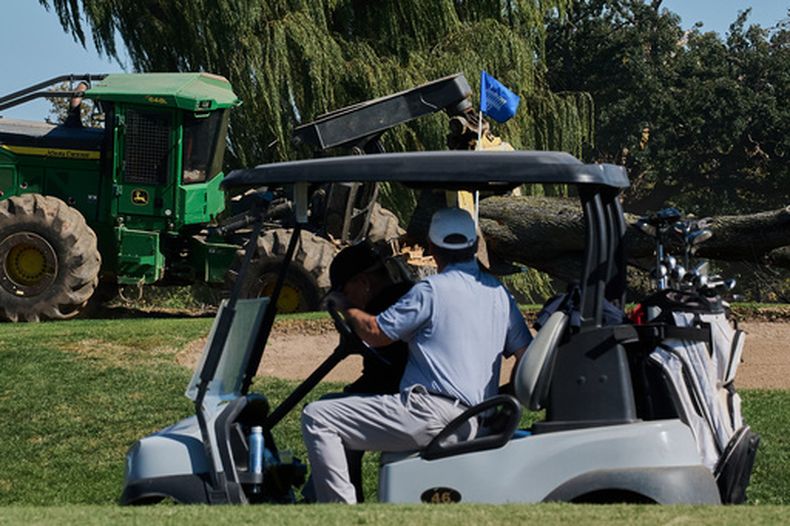 Varias personas conducen un carrito de golf frente a la tala de árboles en el East Potomac Park Golf Course, el lunes 26 de octubre de 2026, en Washington. (AP Foto/Julia Demaree Nikhinson)
