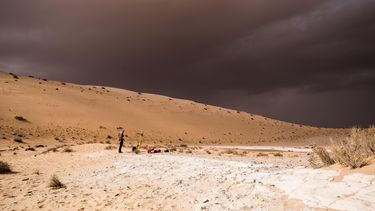 La antigua Arabia era verde y atrajo a los humanos de África