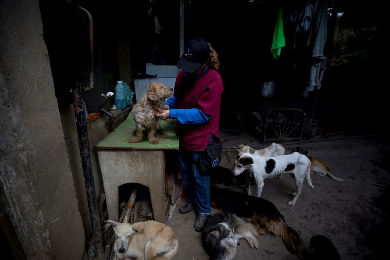 REP-GEN_VENEZUELA-MASCOTAS_CRISIS-12.jpg